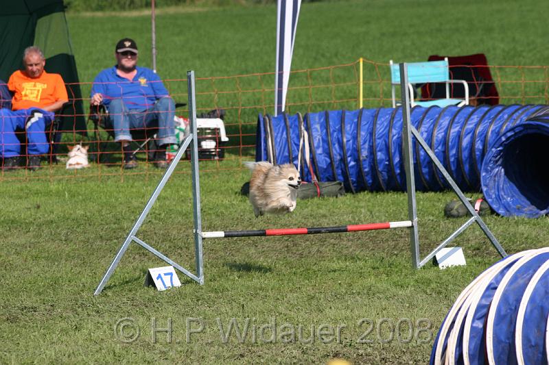 jubil.lusten. 187.jpg